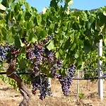 Lananai - Eco Accommodatie bij particulieren San Vito (Sardinia)