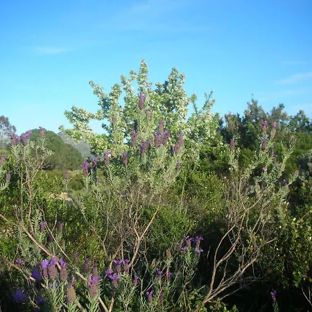 Homestay Lananai San Vito (Sardinia)