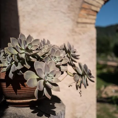 Lananai Homestay San Vito (Sardinia)