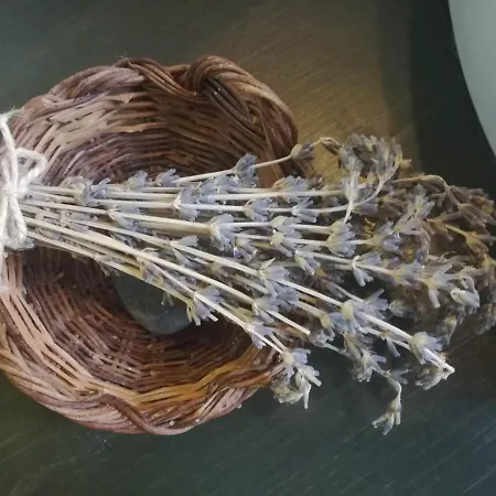 Lananai - Eco Проживание в семье *