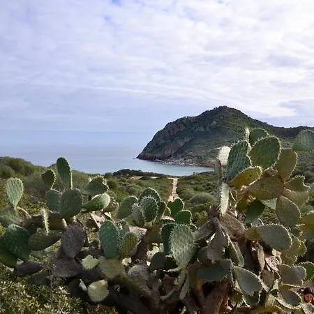 Lananai San Vito (Sardinia)