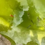 Lananai - Eco Privatunterkunft San Vito (Sardinia)