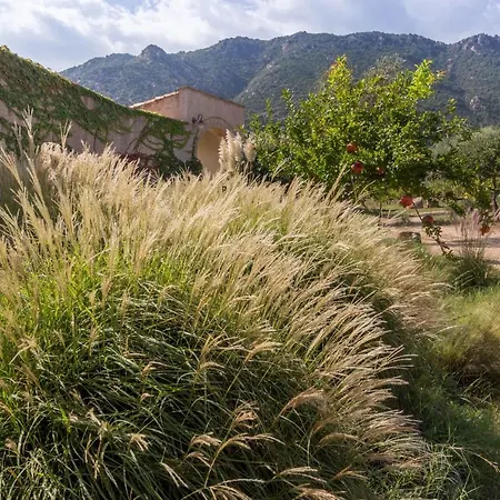 Δωμάτια σε οικογενειακή κατοικία Lananai - Eco