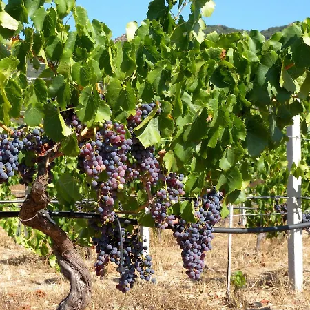 Lananai - Eco منزل للإقامة سان فيتو