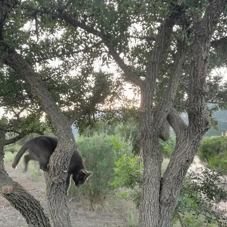 منزل للإقامة Lananai - Eco سان فيتو