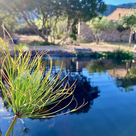 Lananai - Eco Δωμάτια σε οικογενειακή κατοικία San Vito (Sardinia)