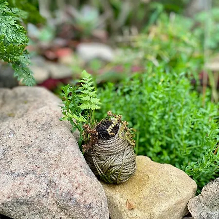 منزل للإقامة Lananai - Eco *