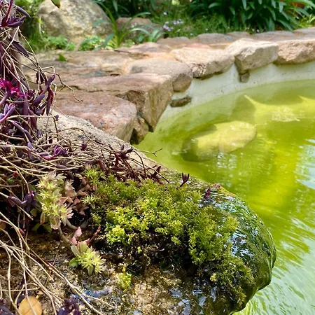 منزل للإقامة Lananai - Eco