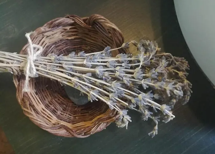 Lananai - Eco בית אירוח *