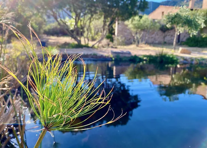 Lananai - Eco Homestay szállás San Vito