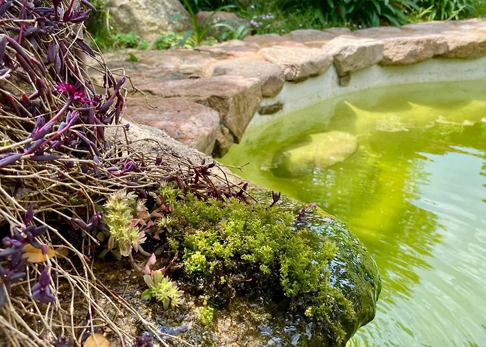 בית אירוח Lananai - Eco